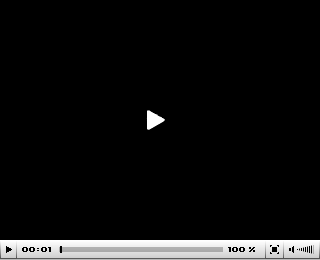 default_video_player.gif