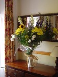 DSC00840