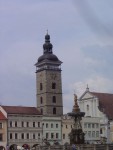DSC05481