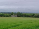 DSC00686
