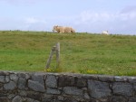 DSC00546