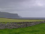 DSC00547