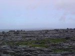DSC00554
