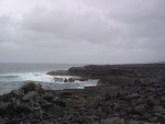 DSC00555