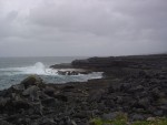 DSC00556