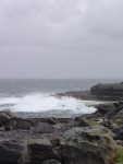 DSC00558