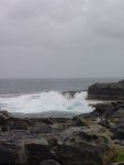 DSC00559