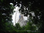 DSC05398