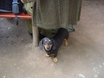 DSC05408