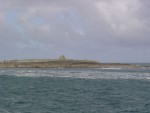 DSC00584