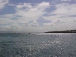 DSC00593