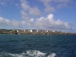 DSC00594