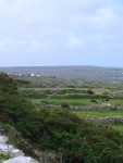 DSC00600