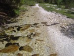 DSC05631