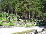 DSC05633