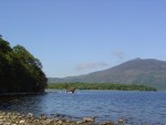 DSC00774