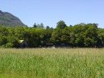 DSC00777