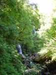 DSC00780