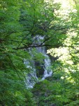 The Owengarriff River cascades through the wooded Friar's Glen into Muckross Lake. A pretty path winds up to the top of this 18m high waterfall.
