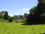 DSC00783