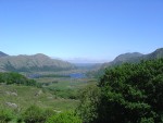 DSC00784