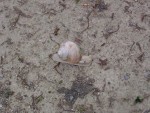 DSC05719