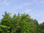 DSC05728