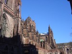 DSC01229