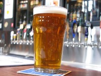 Highlight for Album: Year in Beer - Seattle, WA - April 2008