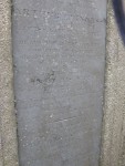 IMG 0985