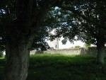 IMG 0986