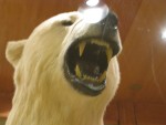IMG 0052