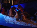 Waiting for the Baby Jesus inside Notre Dame.