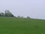 DSC02105
