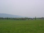 DSC02107