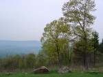 DSC02095