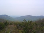 Highlight for Album: Shennandoah National Park
