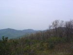 DSC02115