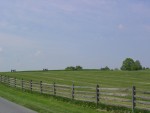 DSC02061