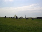 DSC01995