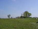 DSC01999