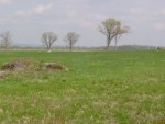DSC02006