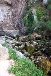 P1002771