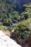 P1002775
