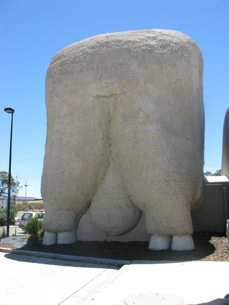 This is why it is called the Big Merino