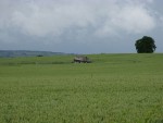 Brownshill Dolmen outside of Carlow.