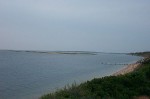 P1001356