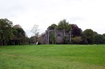 P1001978