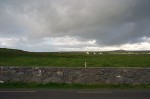 P1001900