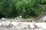 P1001853